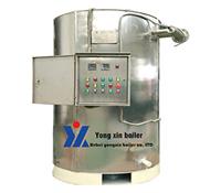 不銹鋼導熱油爐-臥式導熱油爐-生物質導熱油爐